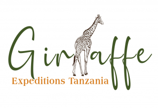 Logo image - Giraffe Expeditions Tanzania Ltd 