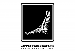 Logo image - Lappet Faced Safaris