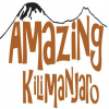 Logo image - Amazing Kilimanjaro Travel Tours
